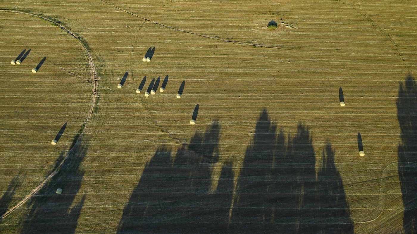 Aerial view representing the Hutto market